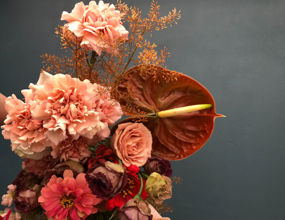 Entretenir une fleur ou plante d'intérieur.